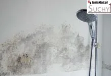 Czy iniekcja jest skuteczna? Rozważania na temat preparatu „Suchy Dom” Czy iniekcja jest skuteczna