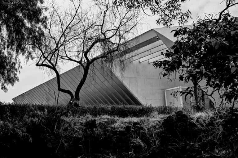 Nowoczesna architektura wśród drzew w czerni i bieli